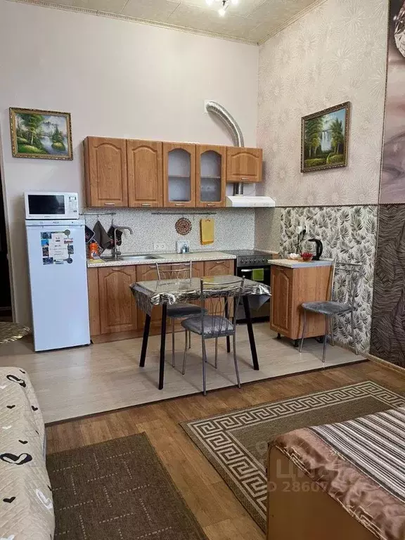 Студия Омская область, Омск ул. Профинтерна, 10 (30.0 м) - Фото 1
