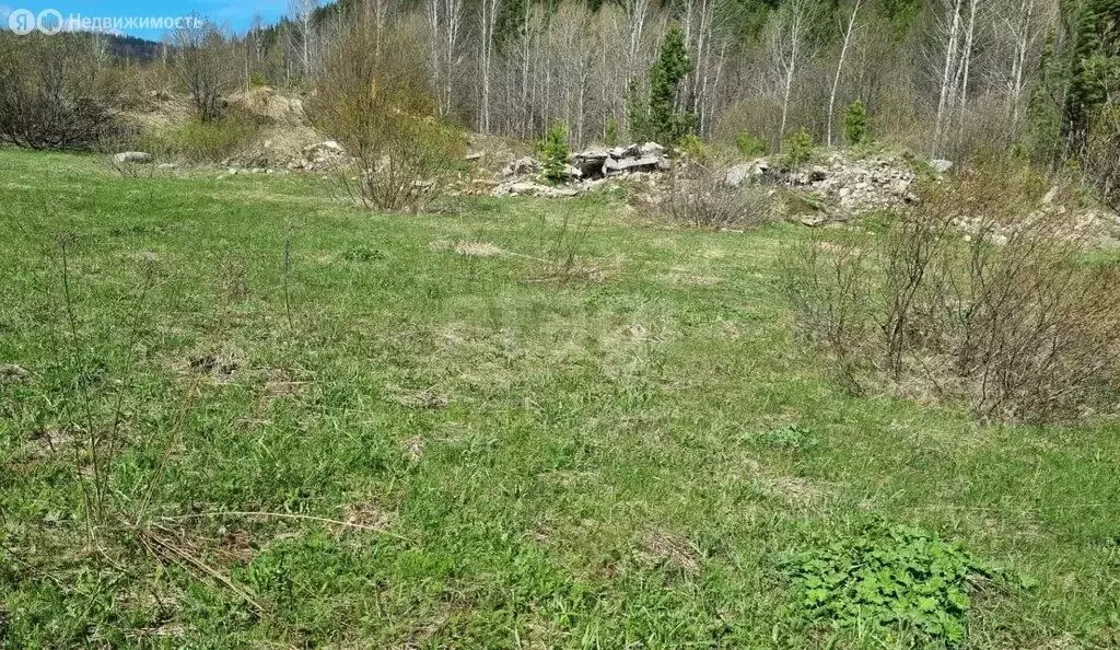 Участок в Челябинская область, Златоуст (971 м) - Фото 2