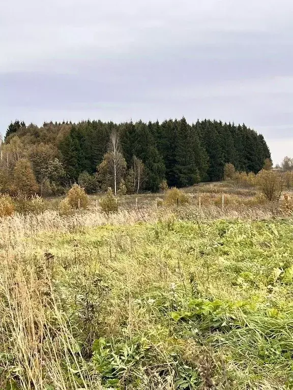 Участок в Калужская область, Мещовск  (10.0 сот.) - Фото 0