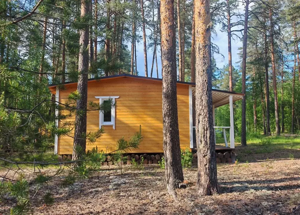 Дом в Карелия, Олонецкий район, Коверское с/пос, д. Нурмолицы  (36 м) - Фото 2