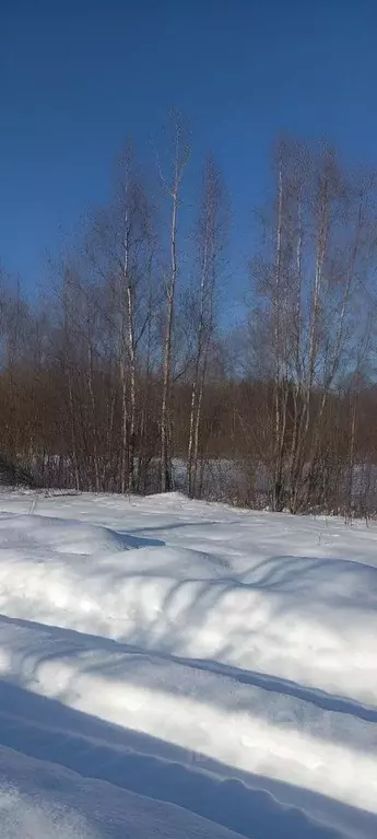 Участок в Ленинградская область, Выборгский район, Рощинское городское ... - Фото 1