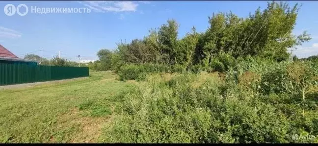 Участок в Большой Лог, улица Фадеева, 173 (17 м) - Фото 0