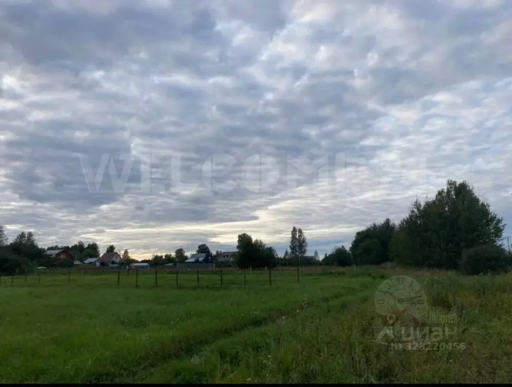 Участок в Московская область, Талдомский городской округ, д. Ульянцево ... - Фото 2