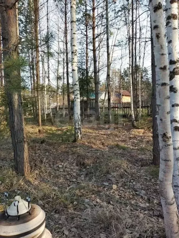 Участок в Красноярский край, Дивногорск Дружба СНТ, 147 (12.0 сот.) - Фото 2