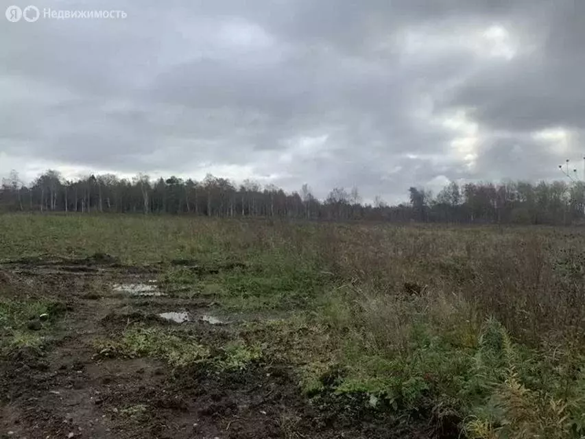 Участок в Оржицкое сельское поселение, урочище Брандовка (7 м) - Фото 1