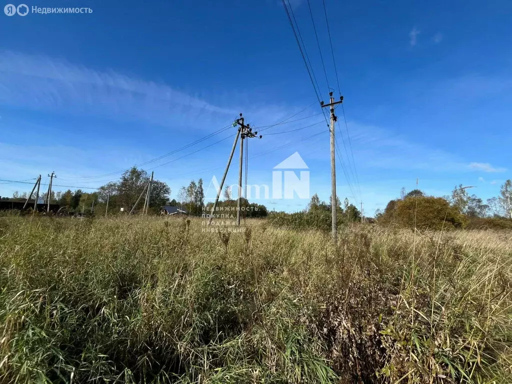 Участок в Приозерский район, Ромашкинское сельское поселение, посёлок ... - Фото 2