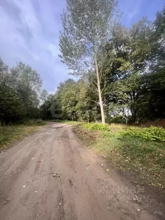 Участок в Калининградская область, Багратионовск  (7.52 сот.) - Фото 2