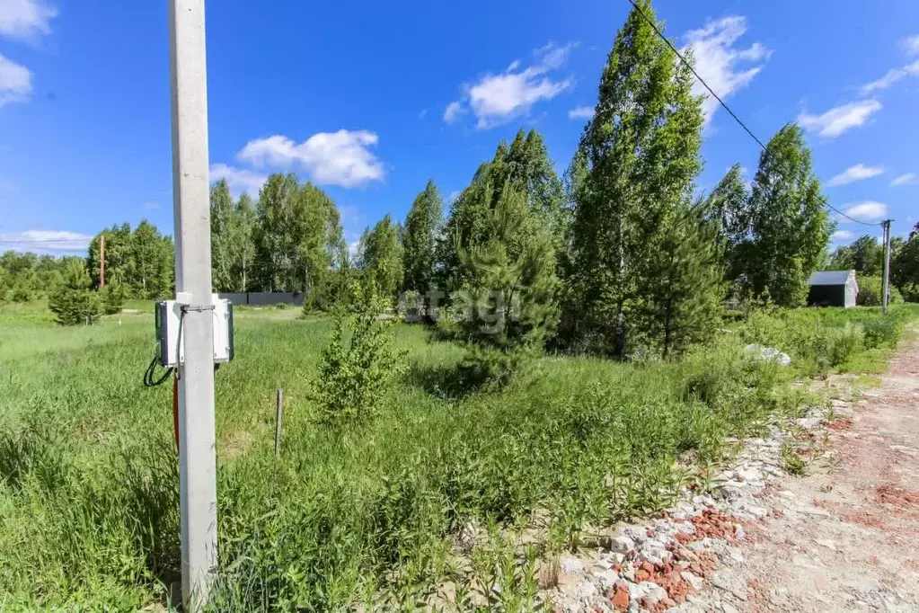 Участок в Тюменская область, Нижнетавдинский район, Геолог-2 СНТ 4-я ... - Фото 0