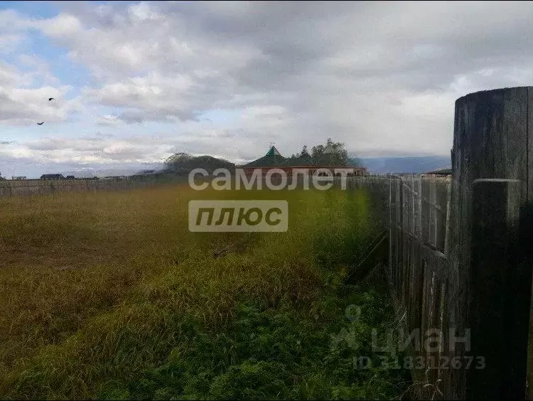 Участок в Бурятия, Баргузинский район, с. Катунь  (5.0 сот.) - Фото 1