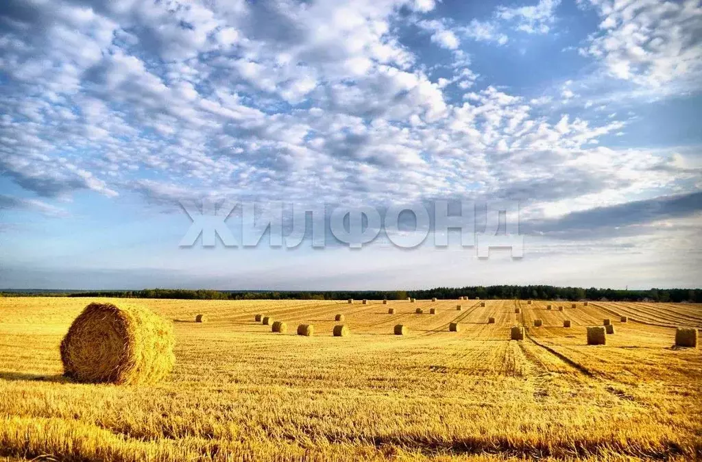 Участок в Новосибирская область, Ордынский район, с. Вагайцево ул. ... - Фото 0