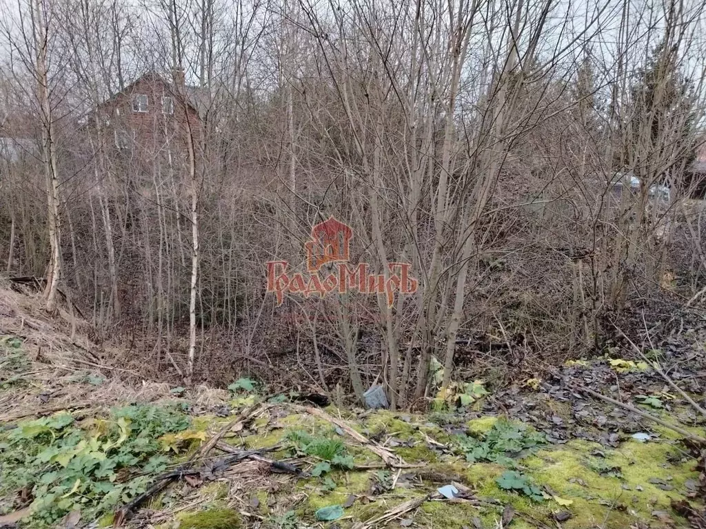 Участок в Московская область, Красноармейск Пушкинский городской ... - Фото 1