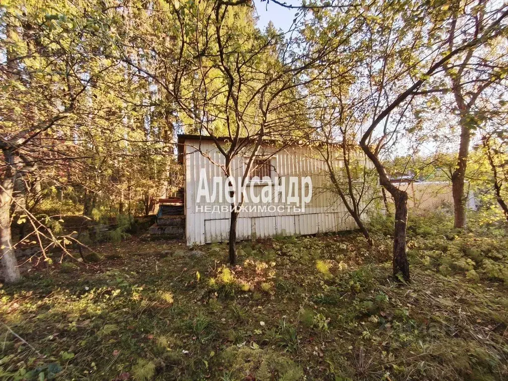 Дом в Ленинградская область, Выборг Ручьи СНТ, туп. 1-й Оливковый, 6 ... - Фото 2