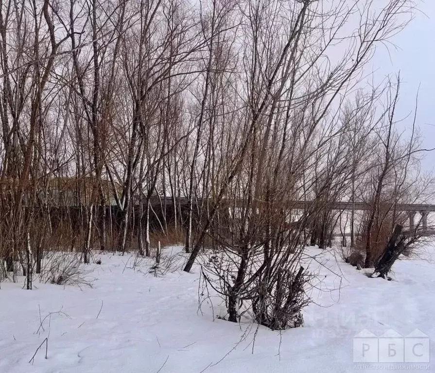Участок в Саратовская область, Саратов муниципальное образование, с. ... - Фото 2