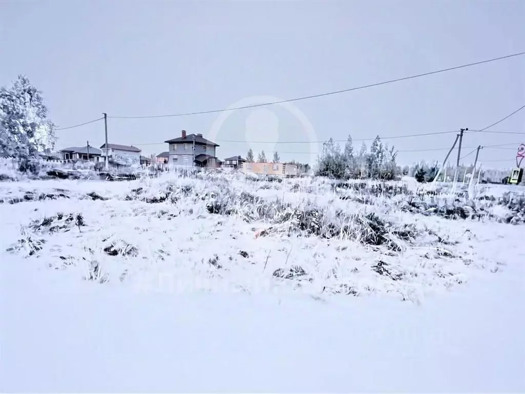 Участок в Рязанская область, Спасск-Рязанский ул. Спасская (6.0 сот.) - Фото 1