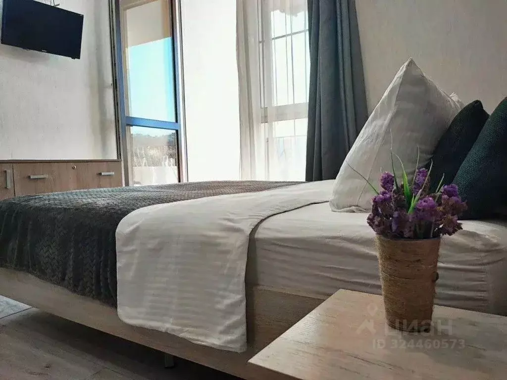 1-к кв. Краснодарский край, Сочи Новый Сочи мкр, ул. Санаторная, 46 ... - Фото 2