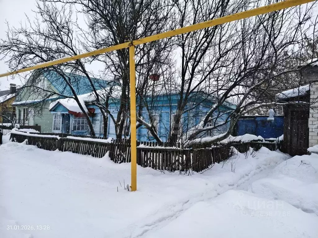 Дом в Воронежская область, Грибановский пгт ул. Красная Поляна, 85 (40 ... - Фото 1