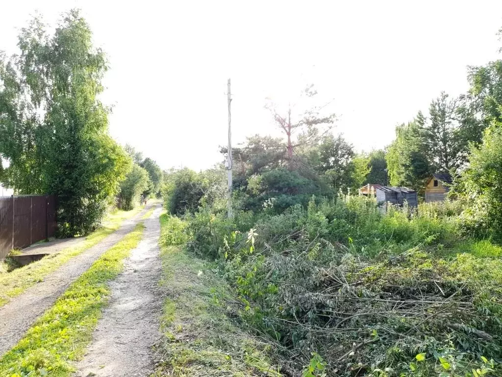 Участок в Московская область, Дмитровский муниципальный округ, Маяк ... - Фото 0