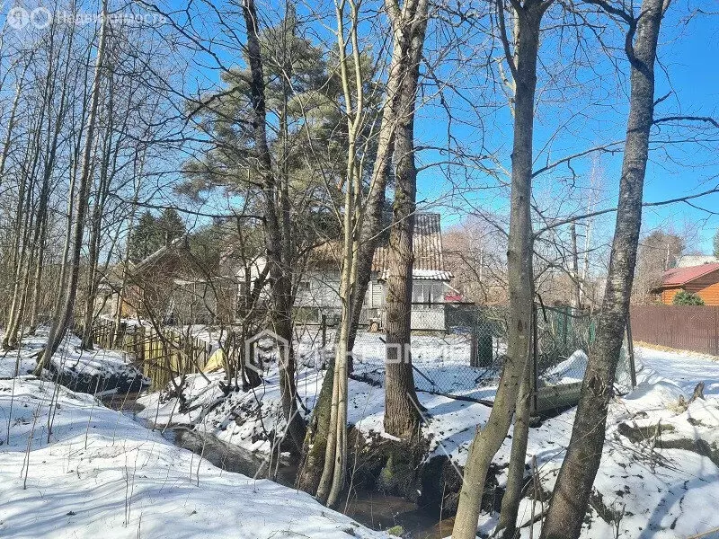 Дом в Сертоловское городское поселение, СНТ Белоостров, 38 (59.5 м) - Фото 0