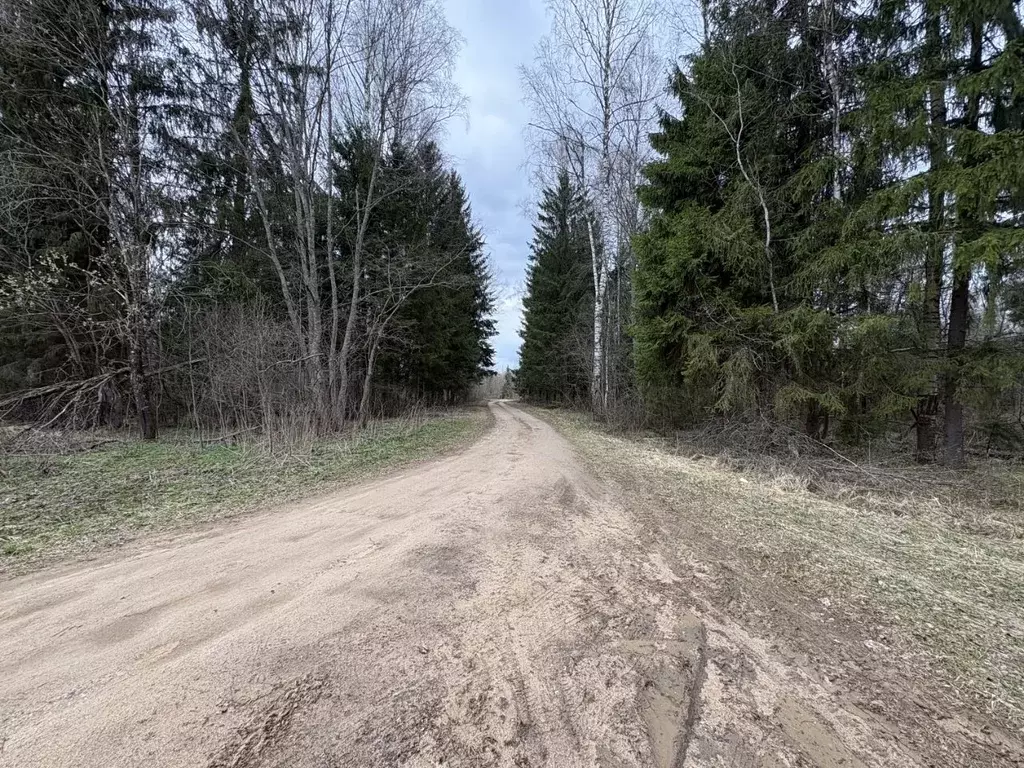 Участок в Смоленская область, Гагаринский муниципальный округ, д. ... - Фото 1