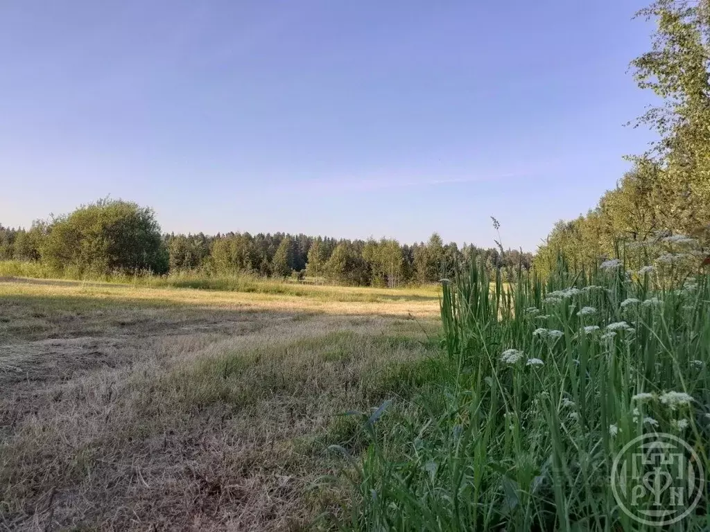 Участок в Ленинградская область, Выборгский район, Красносельское ... - Фото 1