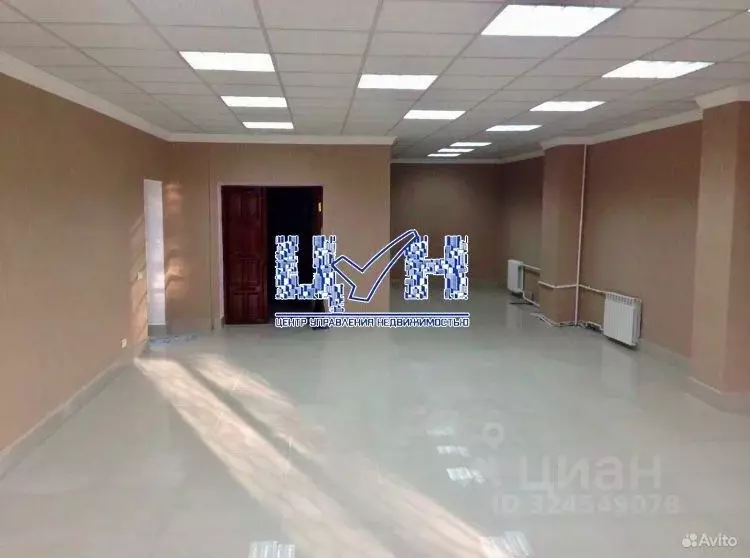 Помещение свободного назначения в Курская область, Курск ул. ... - Фото 1