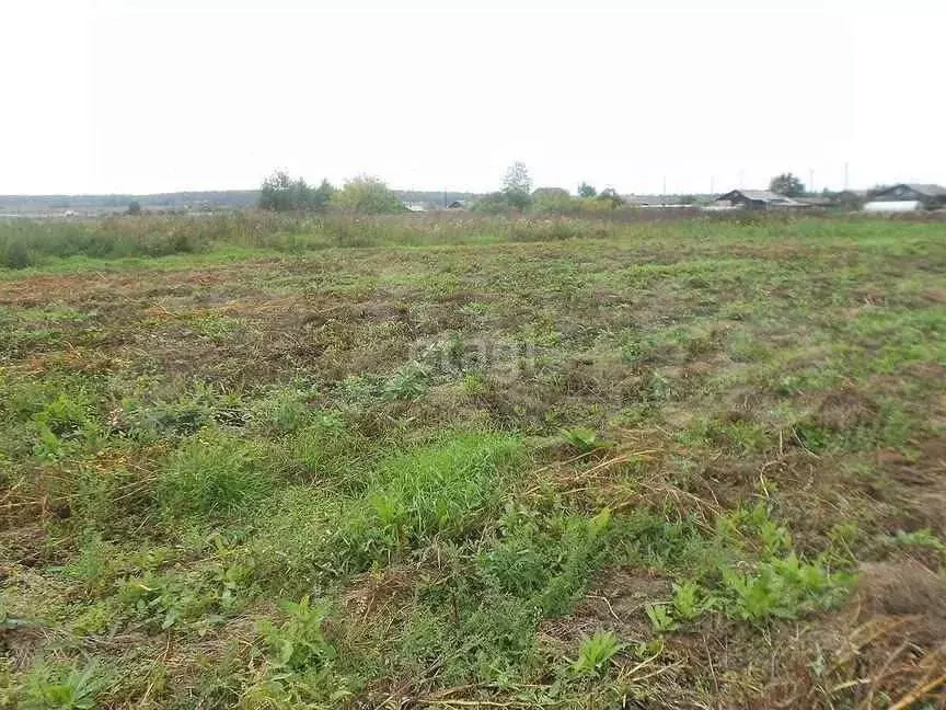 Участок в Свердловская область, Слободо-Туринский район, ... - Фото 1