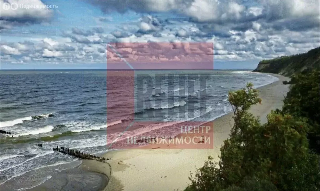Участок в Калининградская область, Зеленоградский муниципальный округ, ... - Фото 1