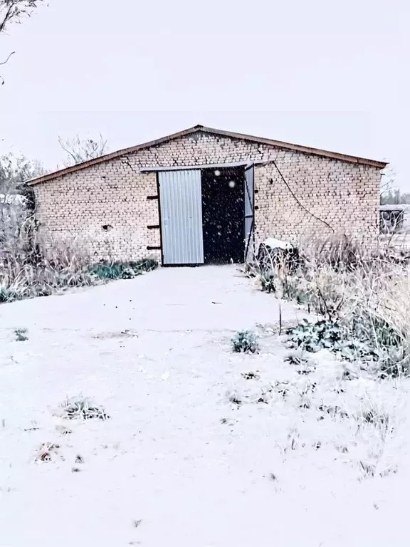 Склад в Самарская область, с. Пестравка  (10403 м) - Фото 1