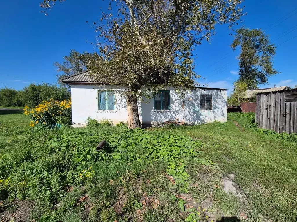 Помещение свободного назначения в Курганская область, Макушинский ... - Фото 1