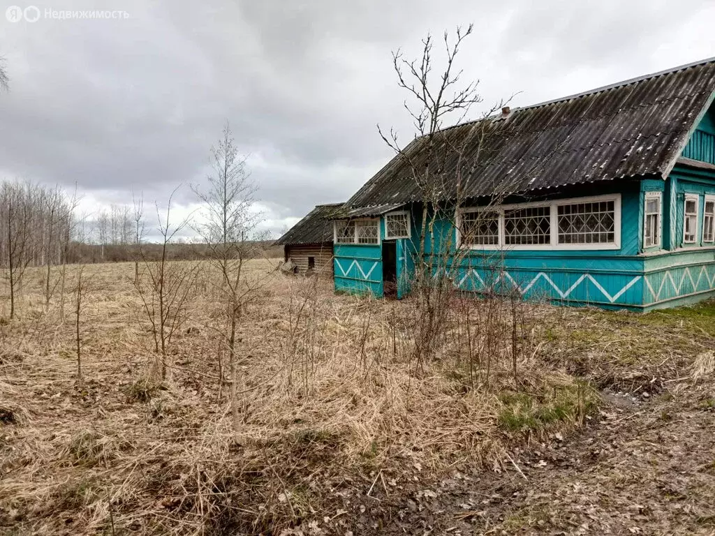 Участок в Новгородская область, Волотовский муниципальный округ, ... - Фото 1