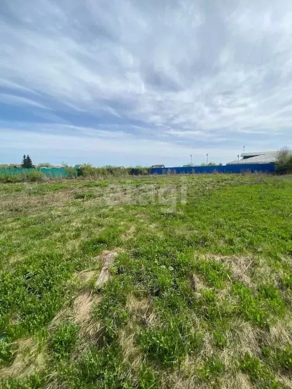 Участок в Башкортостан, Кармаскалинский район, д. Кабаково Советская ... - Фото 1