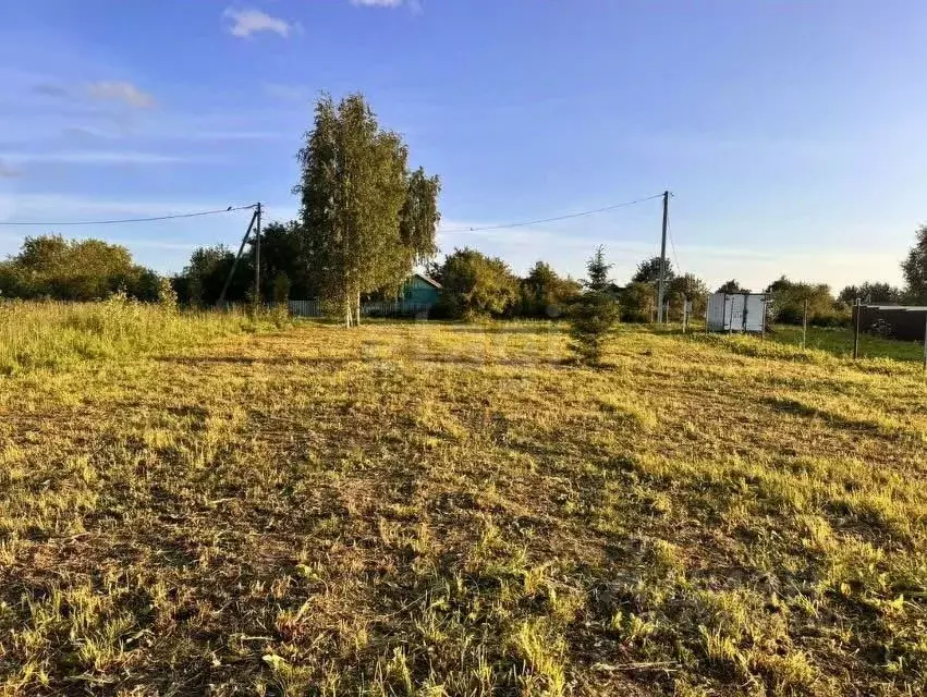 Участок в Вологодская область, пос. Харачево ул. Луговая (11.6 сот.) - Фото 2