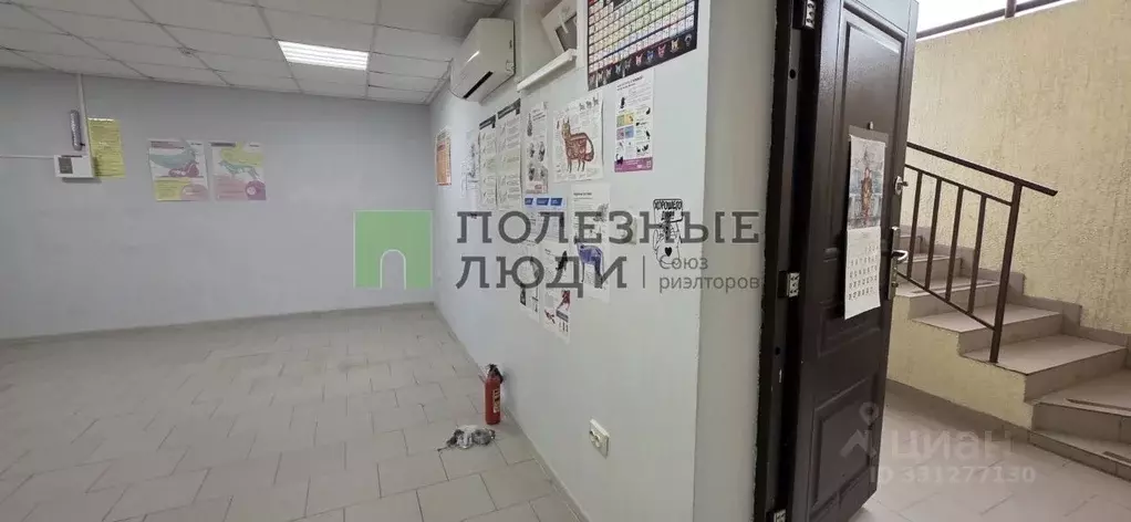 Помещение свободного назначения в Краснодарский край, Геленджик ул. ... - Фото 2