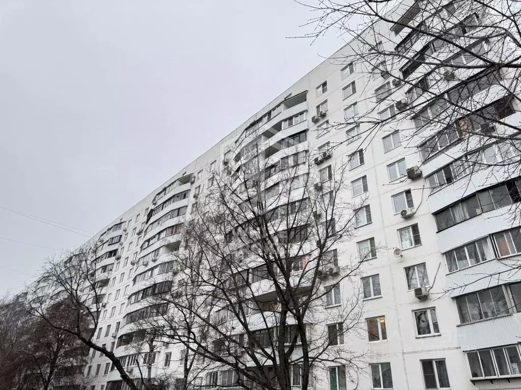 Комната Москва Мичуринский просп., 38 (14.0 м) - Фото 2