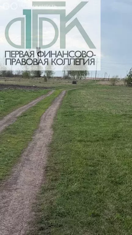 Участок в Нижегородская область, городской округ Арзамас, село Новый ... - Фото 1