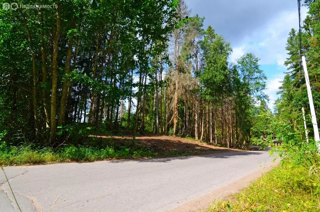 Участок в городской посёлок Рощино, Заречная улица (15.76 м) - Фото 2