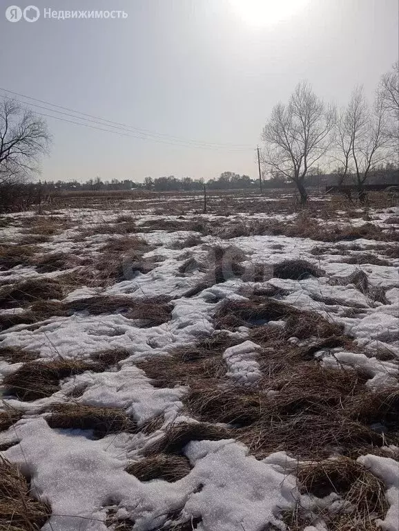 Участок в Воронеж, Железнодорожный район (8 м) - Фото 1
