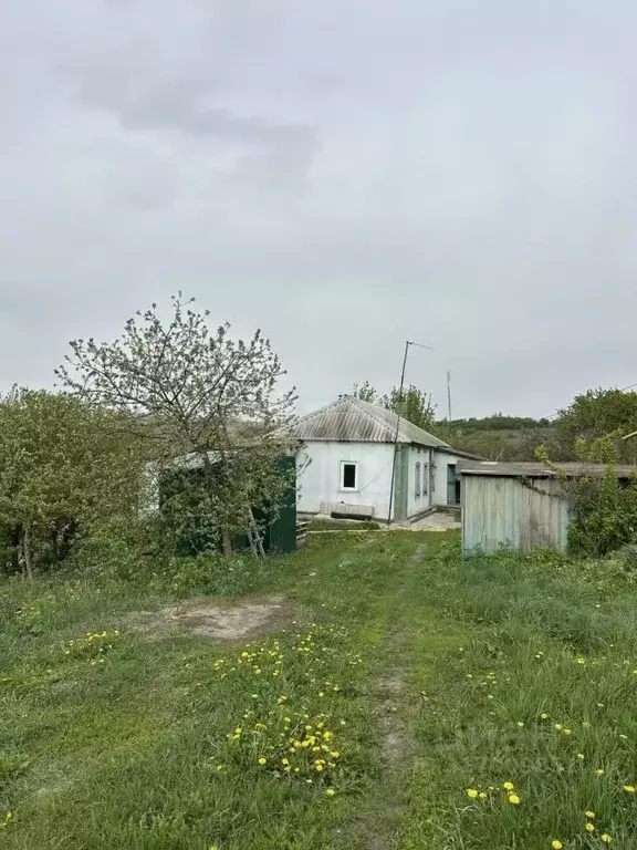 Дом в Воронежская область, Семилукское с/пос, с. Ендовище ул. Олега ... - Фото 1