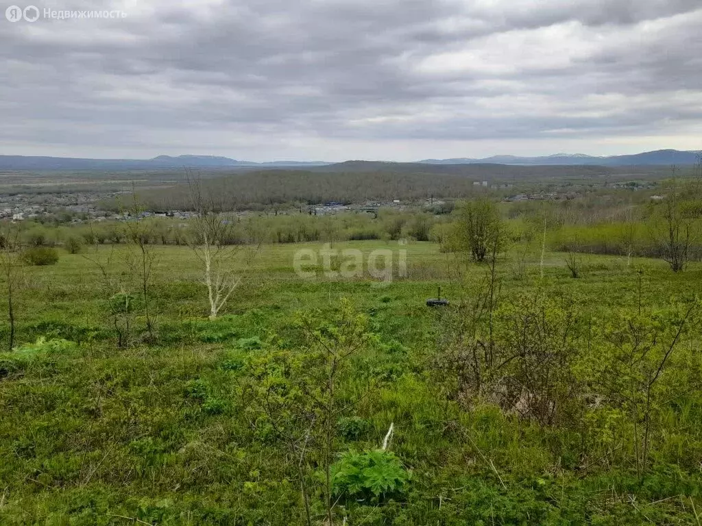Участок в Елизово, микрорайон Садовый (8 м) - Фото 1