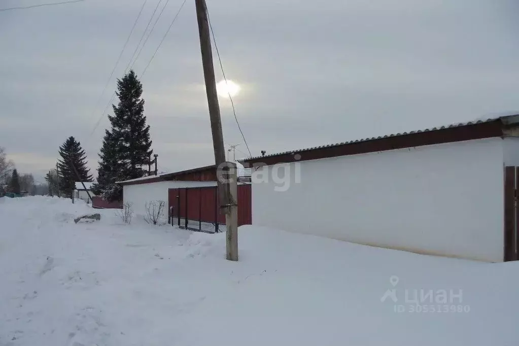 Купить Дом В Селе Петропавловское Алтайского Края