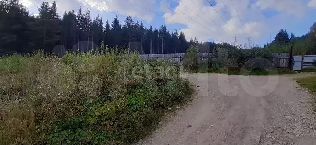 Участок 6 сот. (СНТ, ДНП) - Фото 0