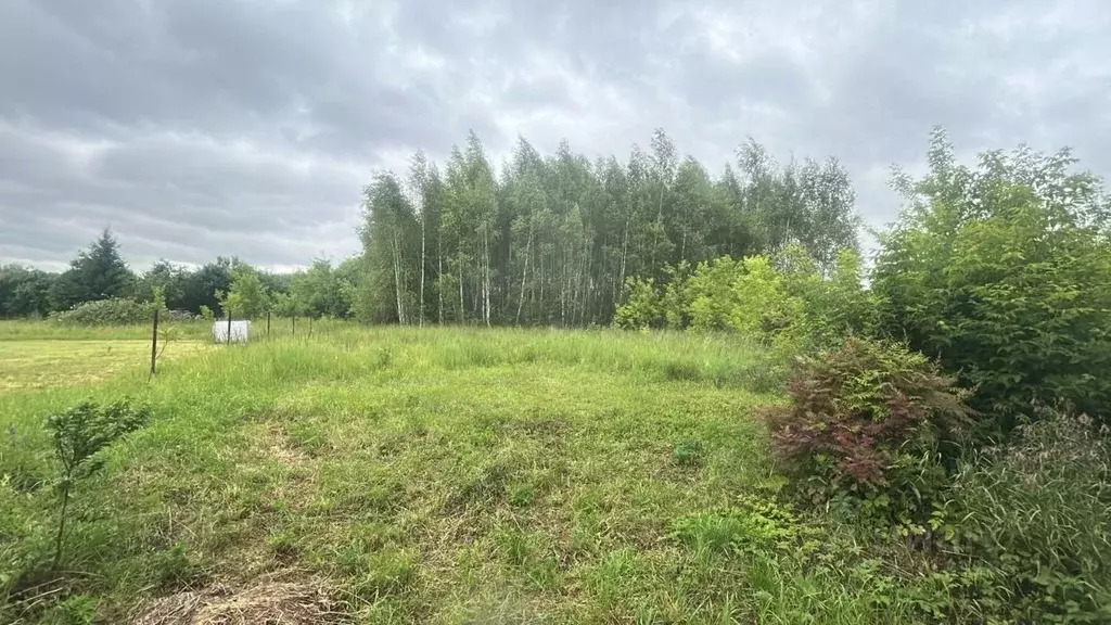 Участок в Московская область, Ступино городской округ, д. Щапово  ... - Фото 0