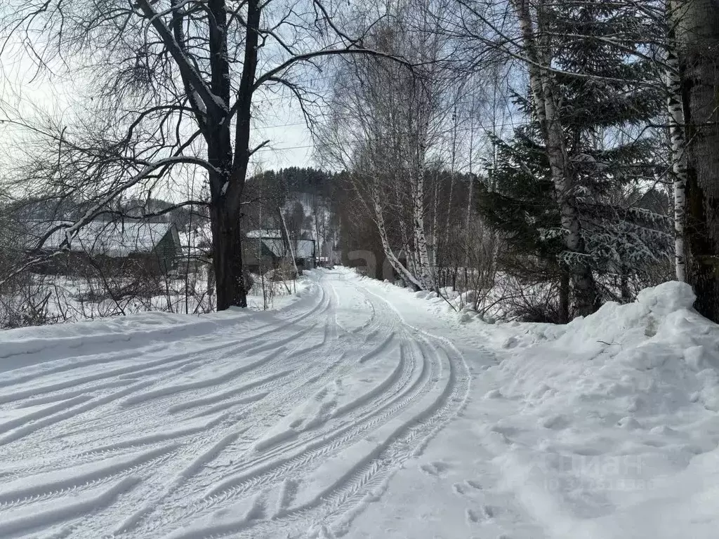 Участок в Алтай, Майминский район, Поселок филиал ул. Мелиораторов ... - Фото 1