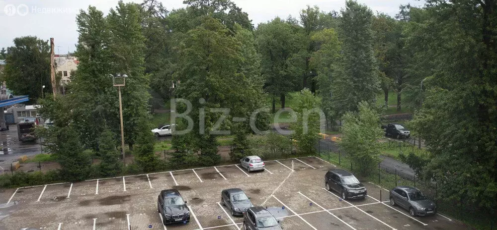 Офис (43.1 м) - Фото 2