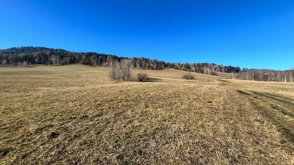Участок в Алтай, Чемальский район, с. Чепош ул. Кучияк (94.0 сот.) - Фото 2