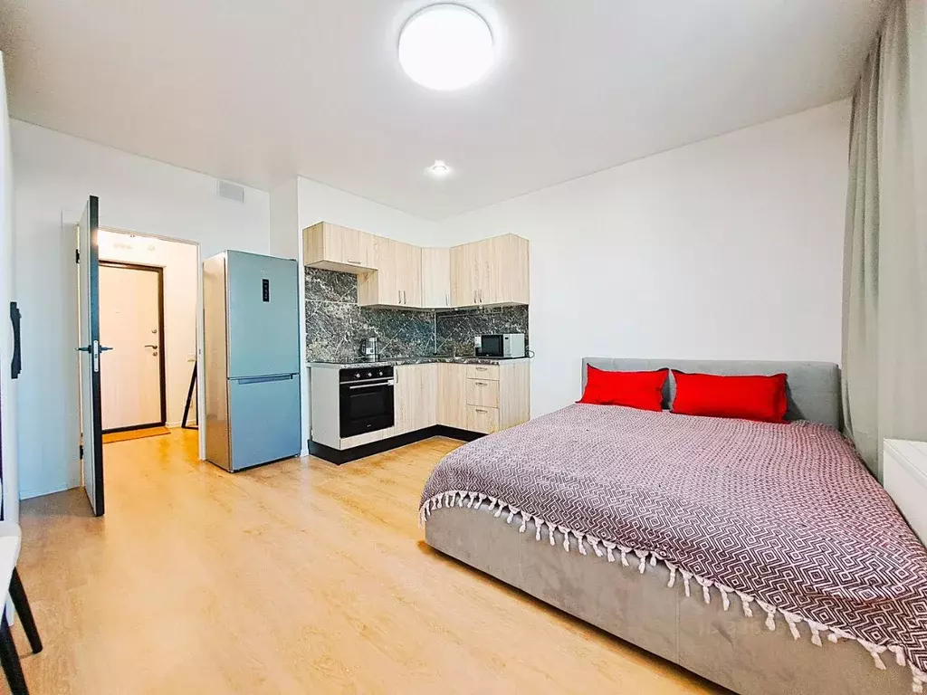 Студия Санкт-Петербург просп. Королева, 57к1 (30.0 м) - Фото 1