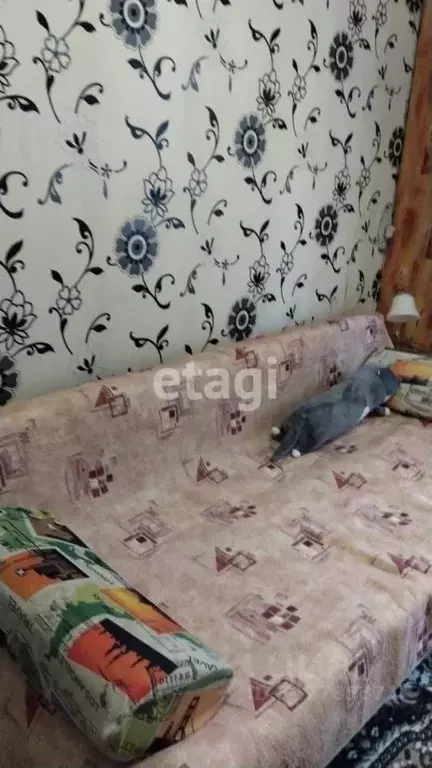 Комната Алтайский край, Белокуриха Советская ул., 12 (12.0 м) - Фото 1