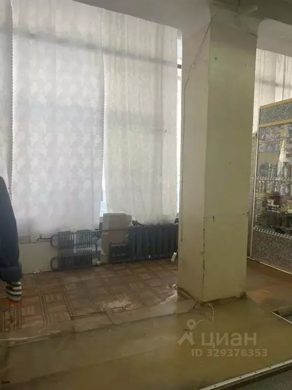 Помещение свободного назначения в Алтайский край, Барнаул городской ... - Фото 2