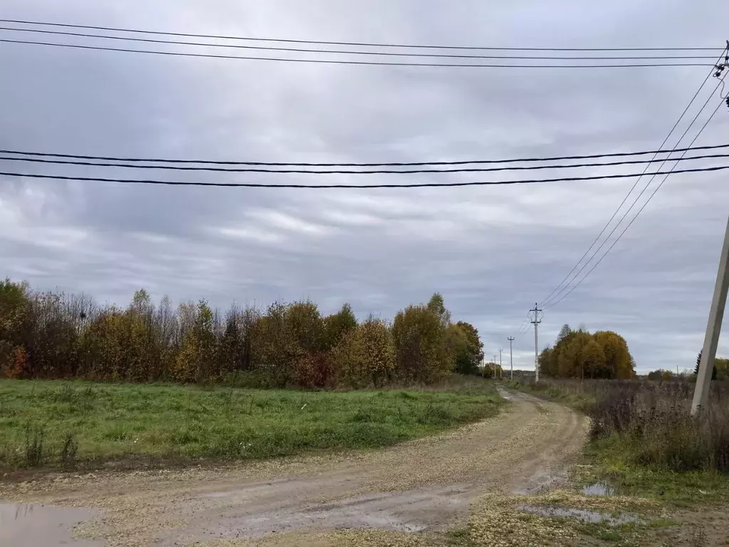 Участок в Ленинградская область, Гатчинский район, д. Выра  (20.0 ... - Фото 0