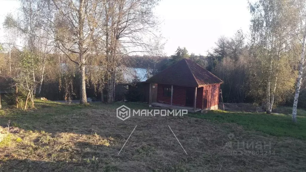 Участок в Ленинградская область, Сланцевский район, Старопольское ... - Фото 1